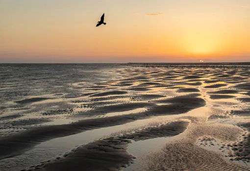 Atardecer en la playa de Isla Canela